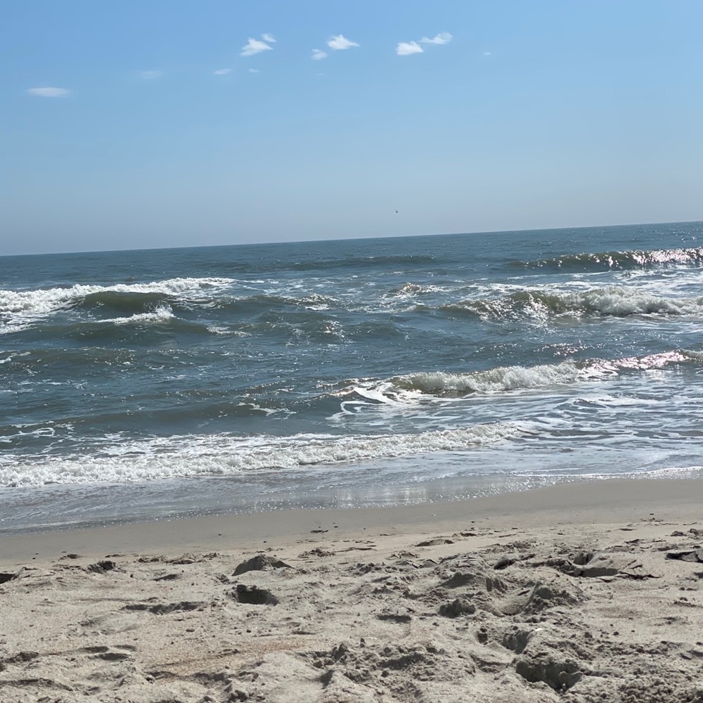 Meet your Posher, Courtney